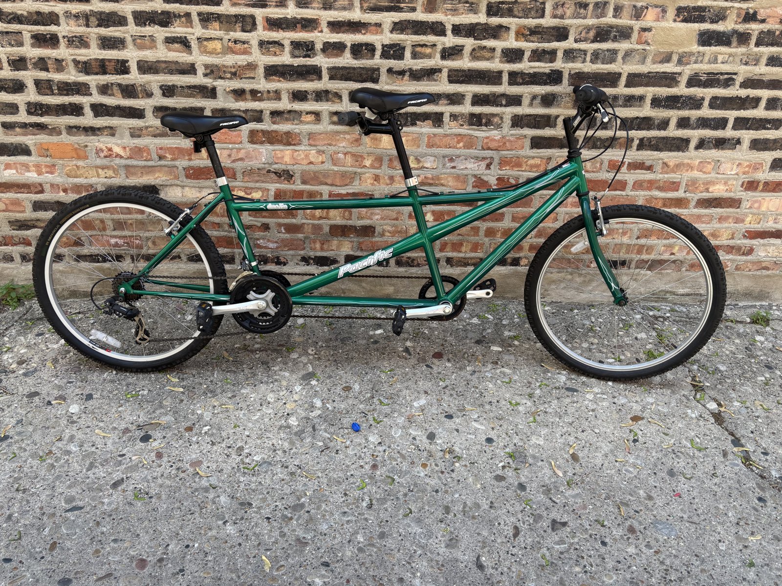 Pacific Dualie Tandem Bike